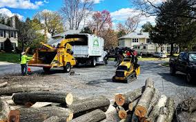How Our Tree Care Process Works  in  Kingston, RI