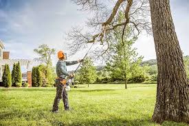 Best Leaf Removal  in Kingston, RI